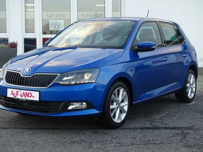 Skoda Fabia 1.0 MPI Joy Green tec... 